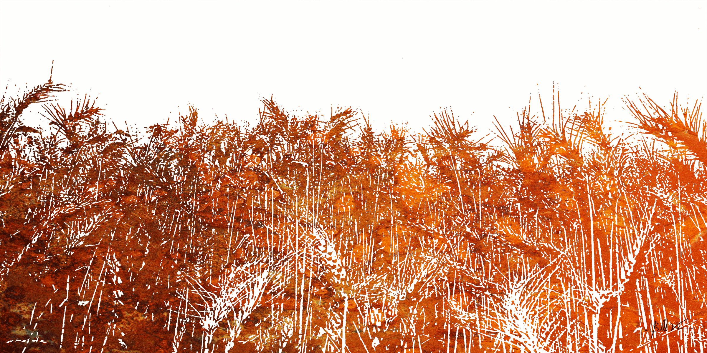 Fall-Wheat-Field.gif