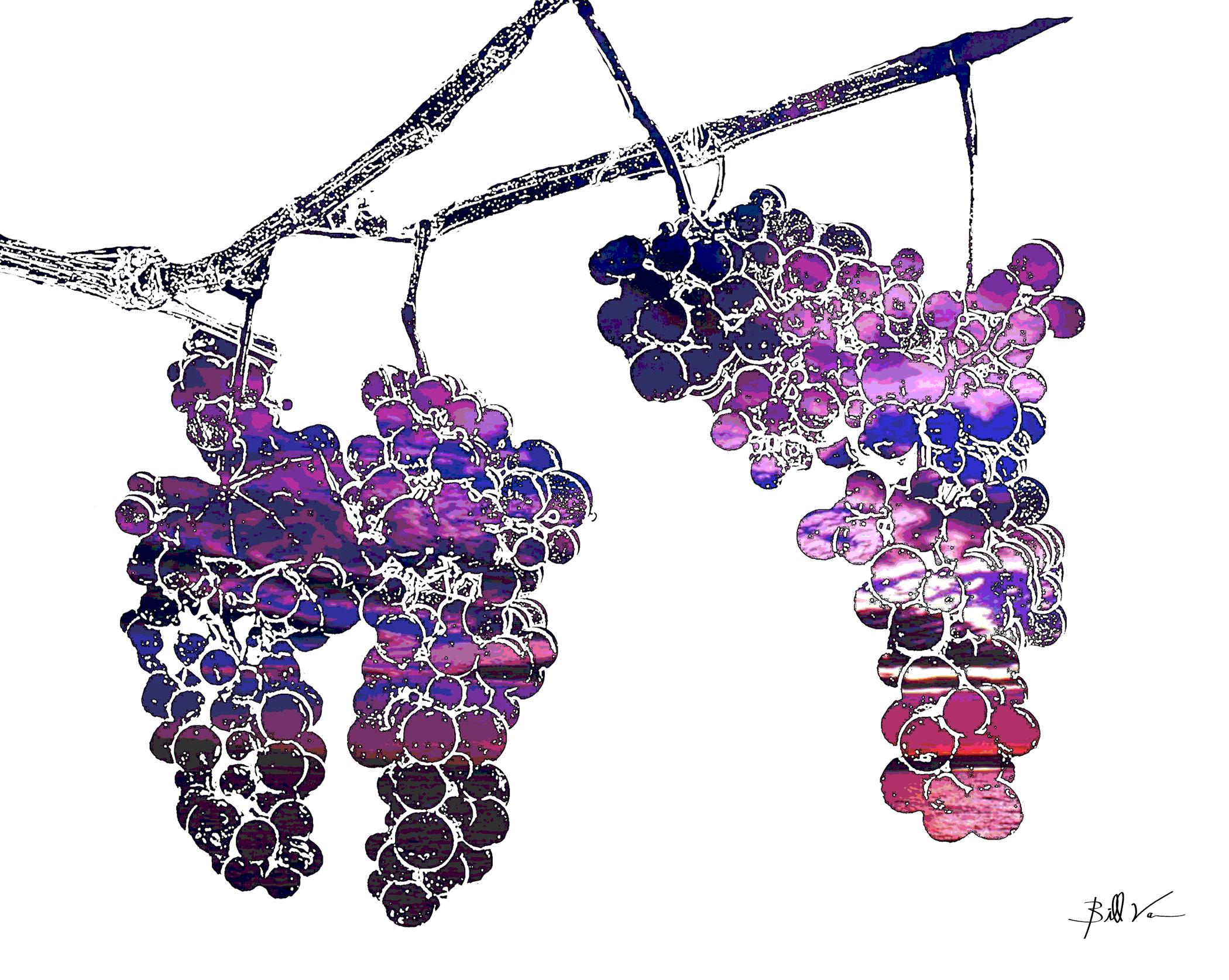 Grapes-Purple-Sky.gif