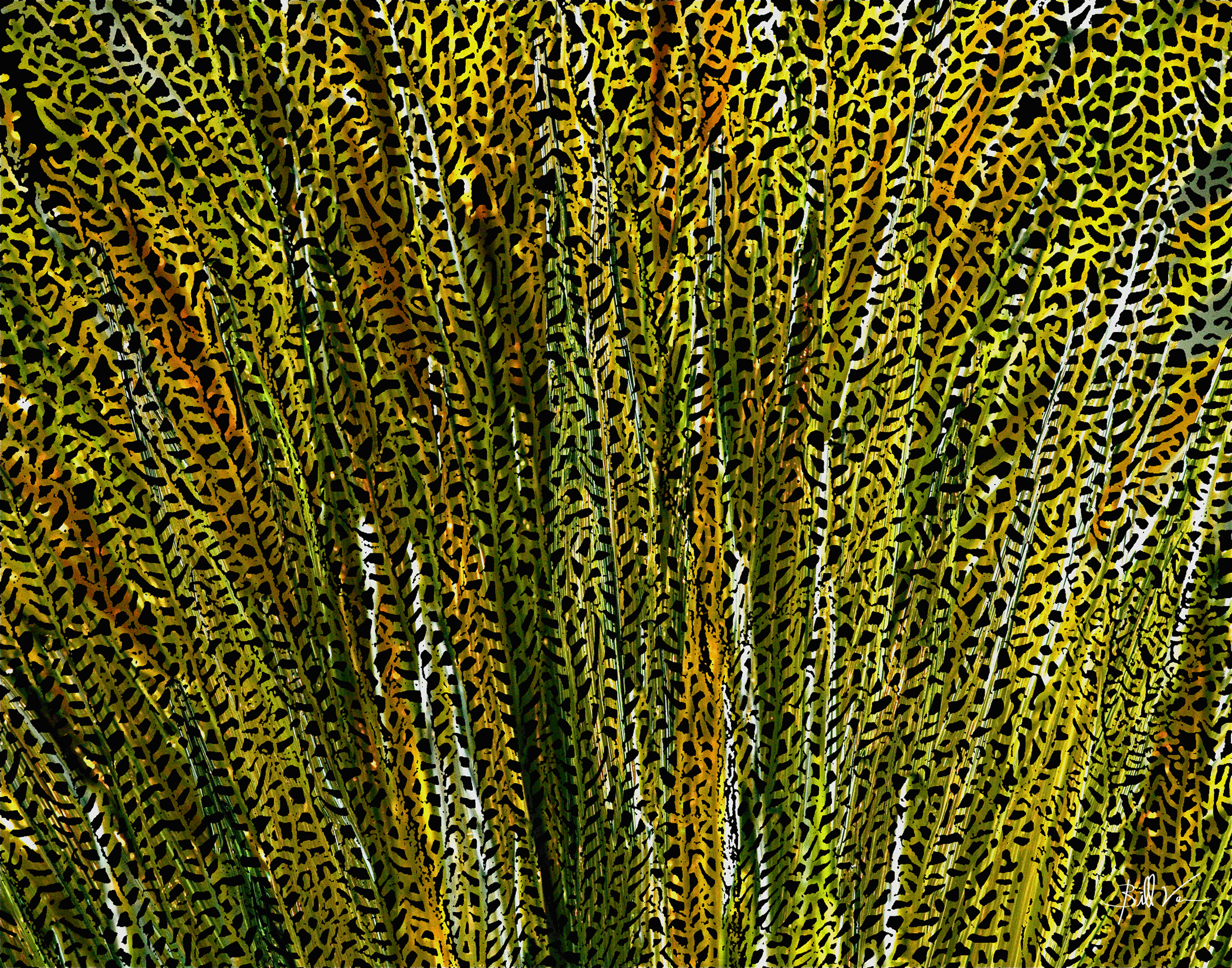 Sea-Fan-Yellow-Green.gif