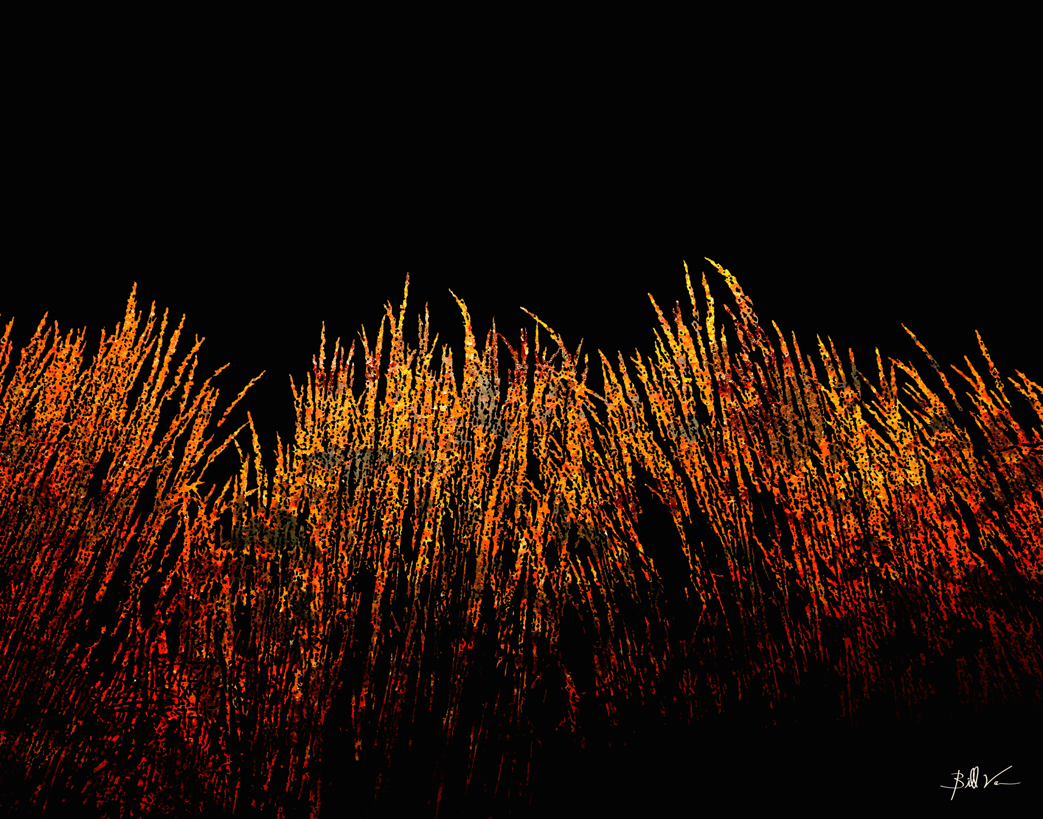 Night-Grasses.gif