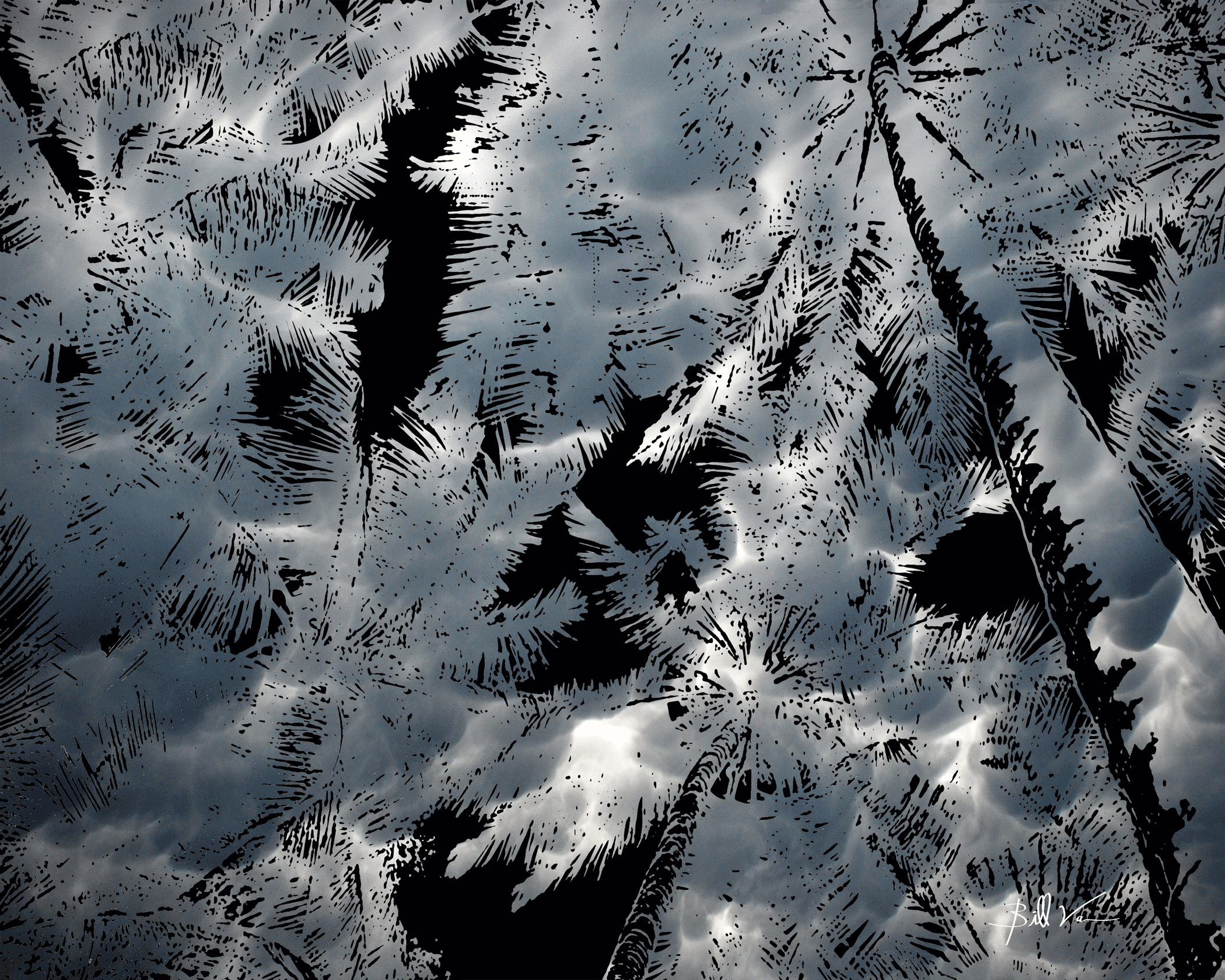 Palms-Skyward-Cloud.gif