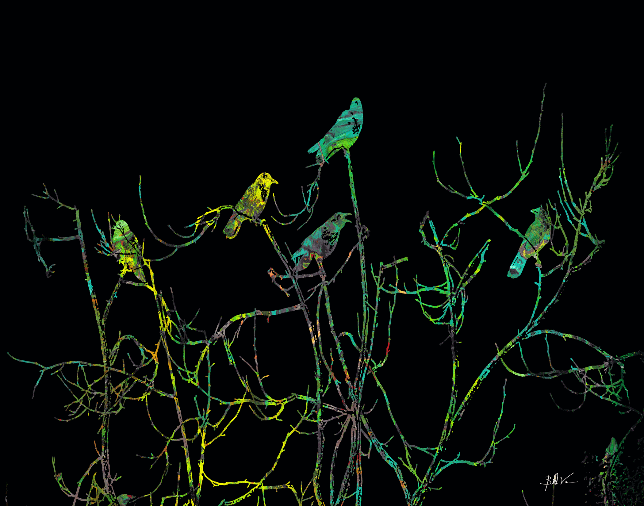 Crow-Coversation.gif