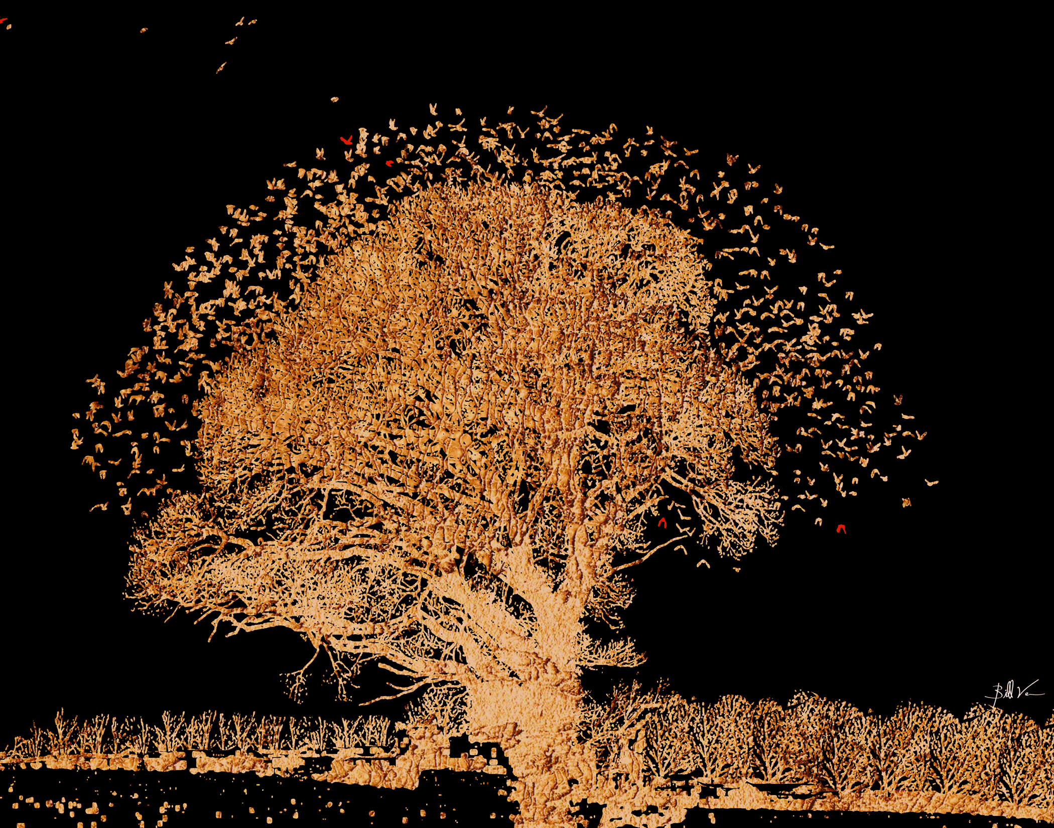 Birds-above-the-Tree.gif