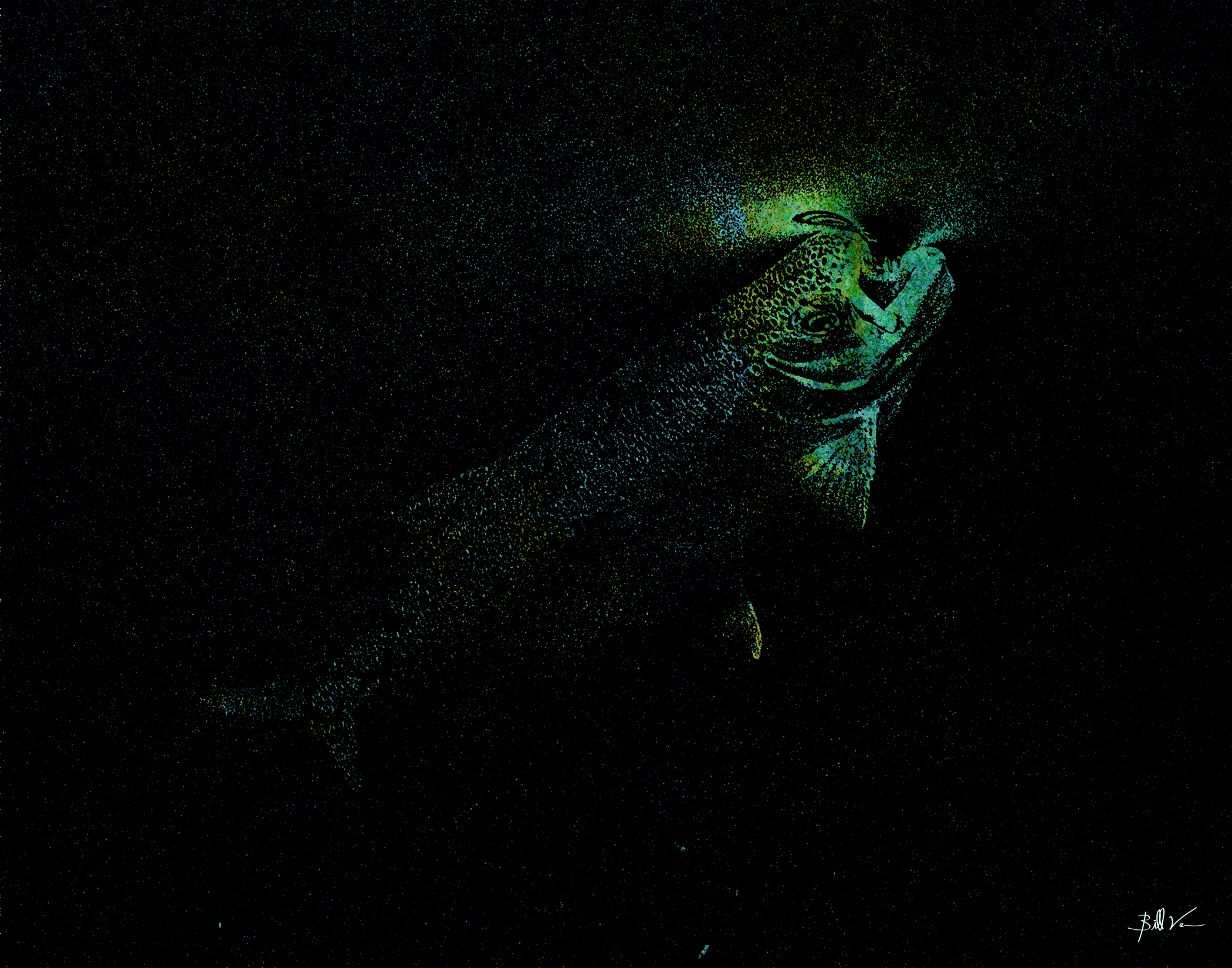 Trout-Rising.gif