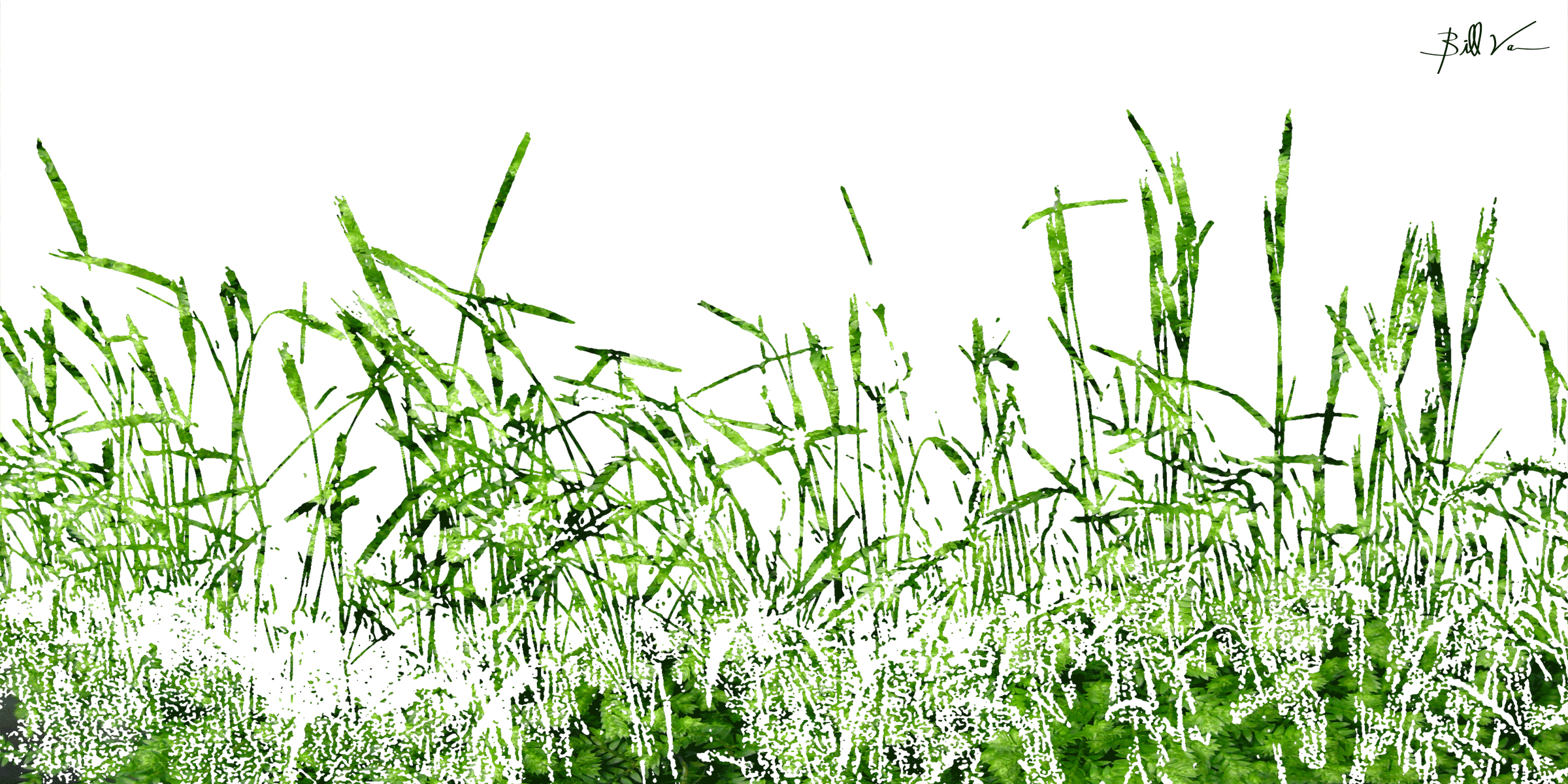 Grasses-Green-Leaves.gif