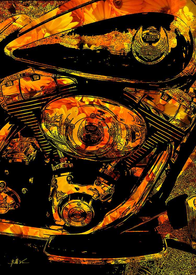 Harley 105th Marigold