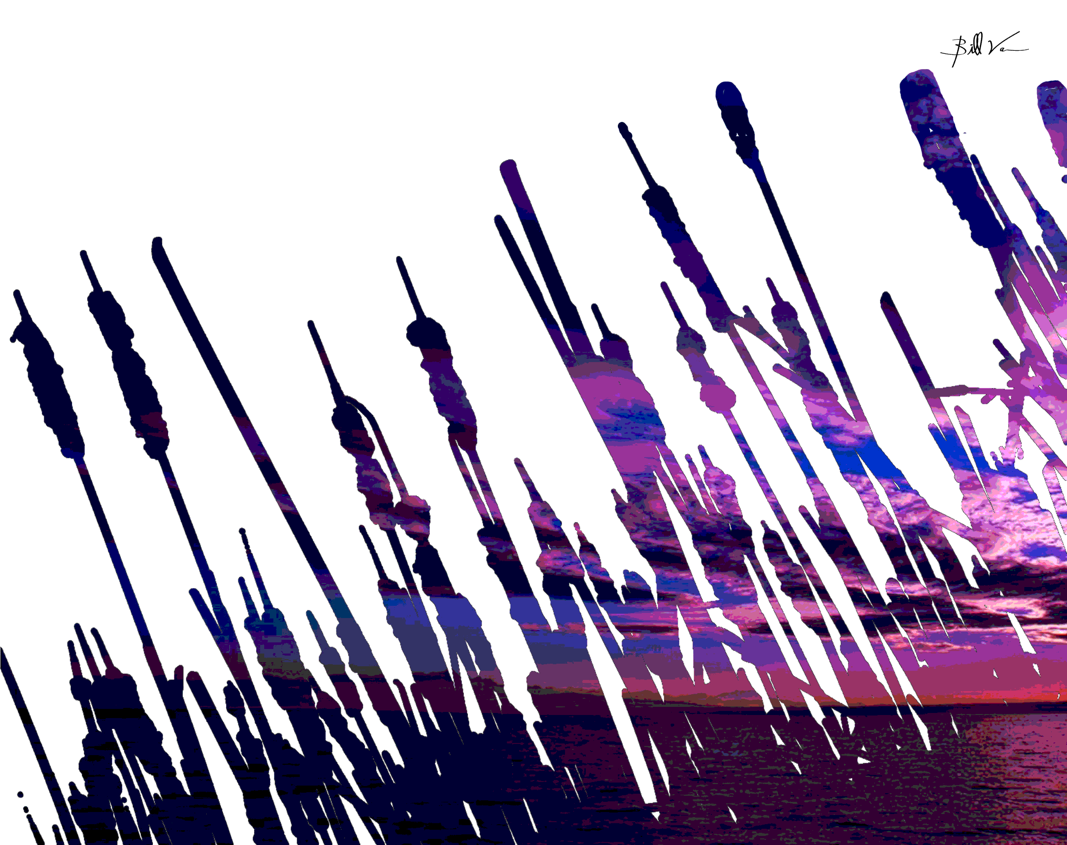 cattails-Purple-Sky.gif