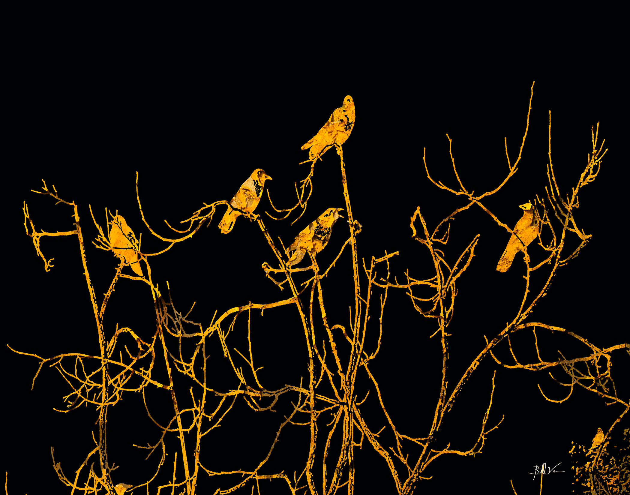 Crows-in-the-Tree.gif