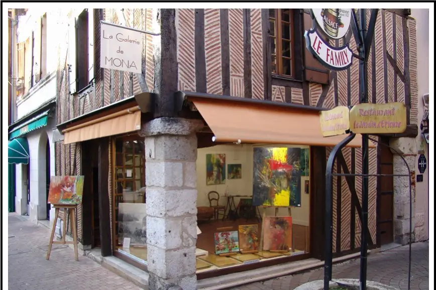 LAGALERIEDEMONA.webp