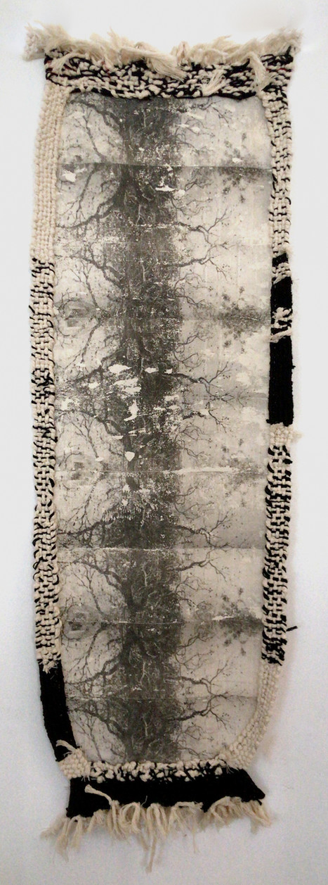Oaks And Weeds, photo transfer on canvas and wool, 100X32 cm 2021.jpeg