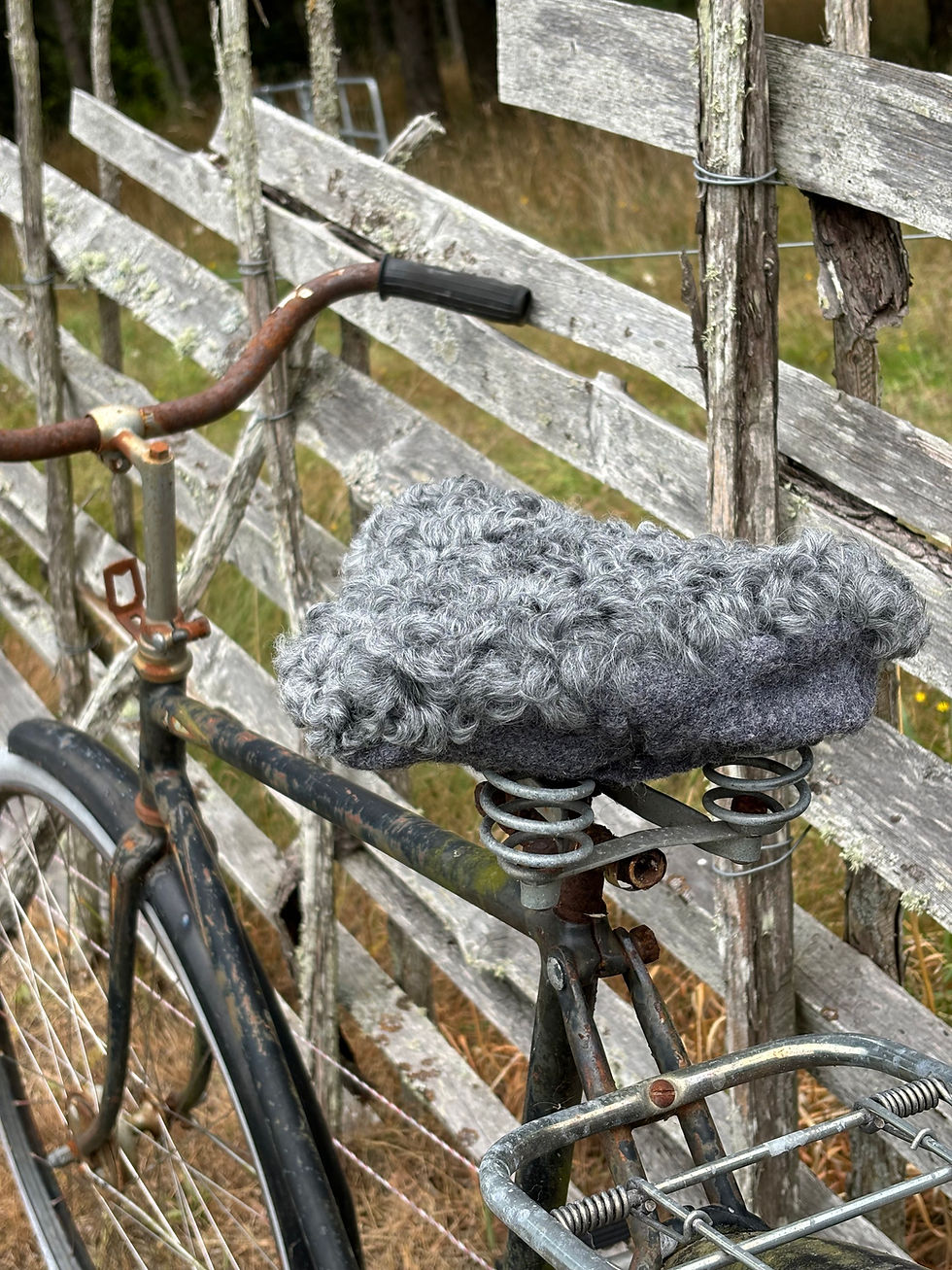 Thumbnail: Cykelsadelskydd