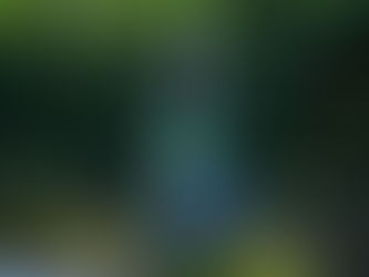 Se prepara la Selección de Fútbol Masculina Sub-17 para enfrentar a Chile