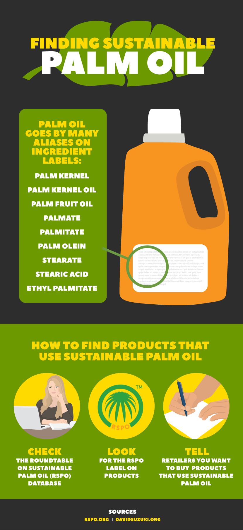 Finding Sustainable Palm Oil, Fix.com