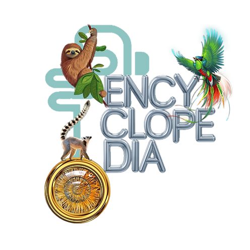 LOGO ENCYCLOPEDIA.png