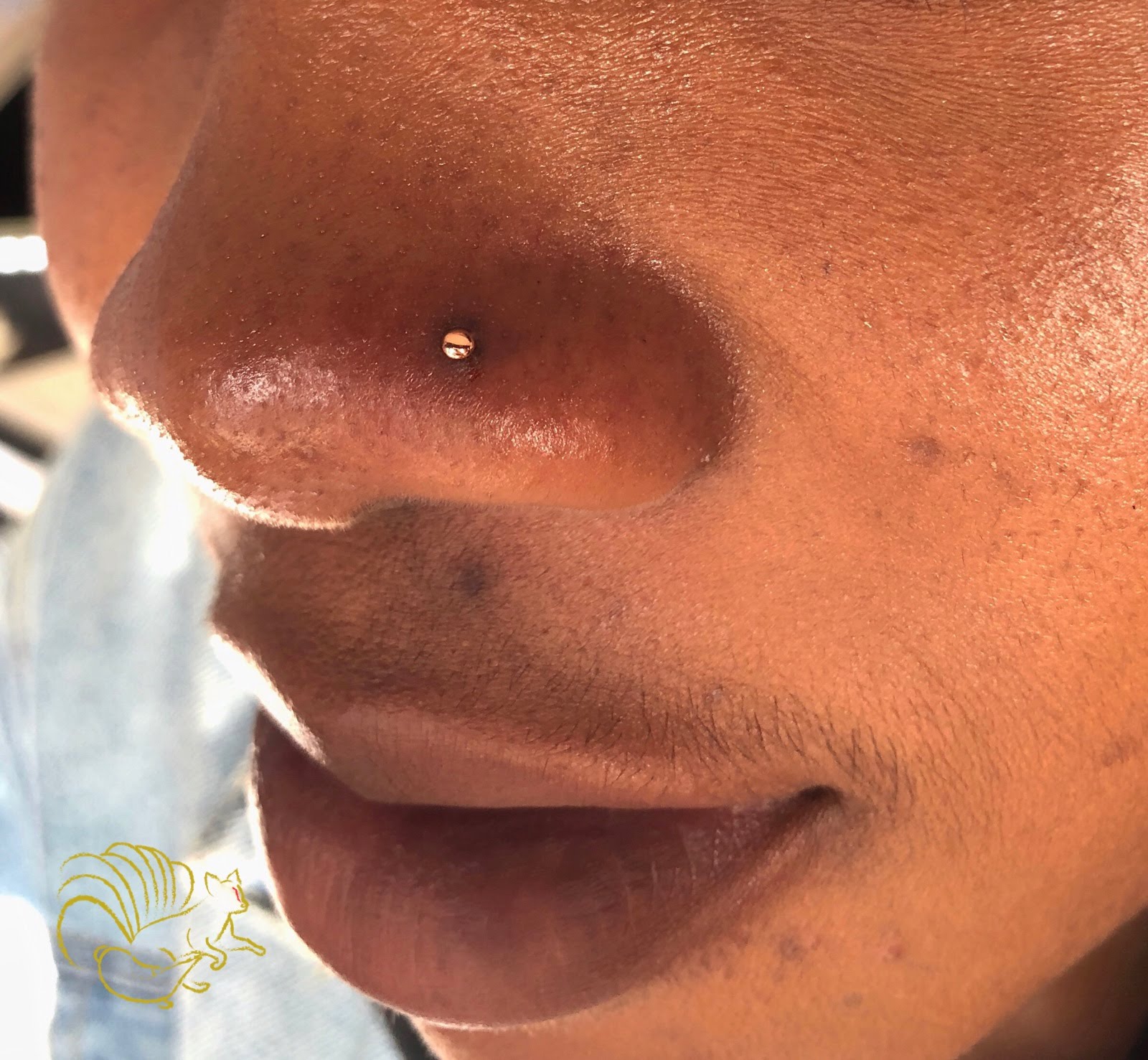 Nostril Piercing