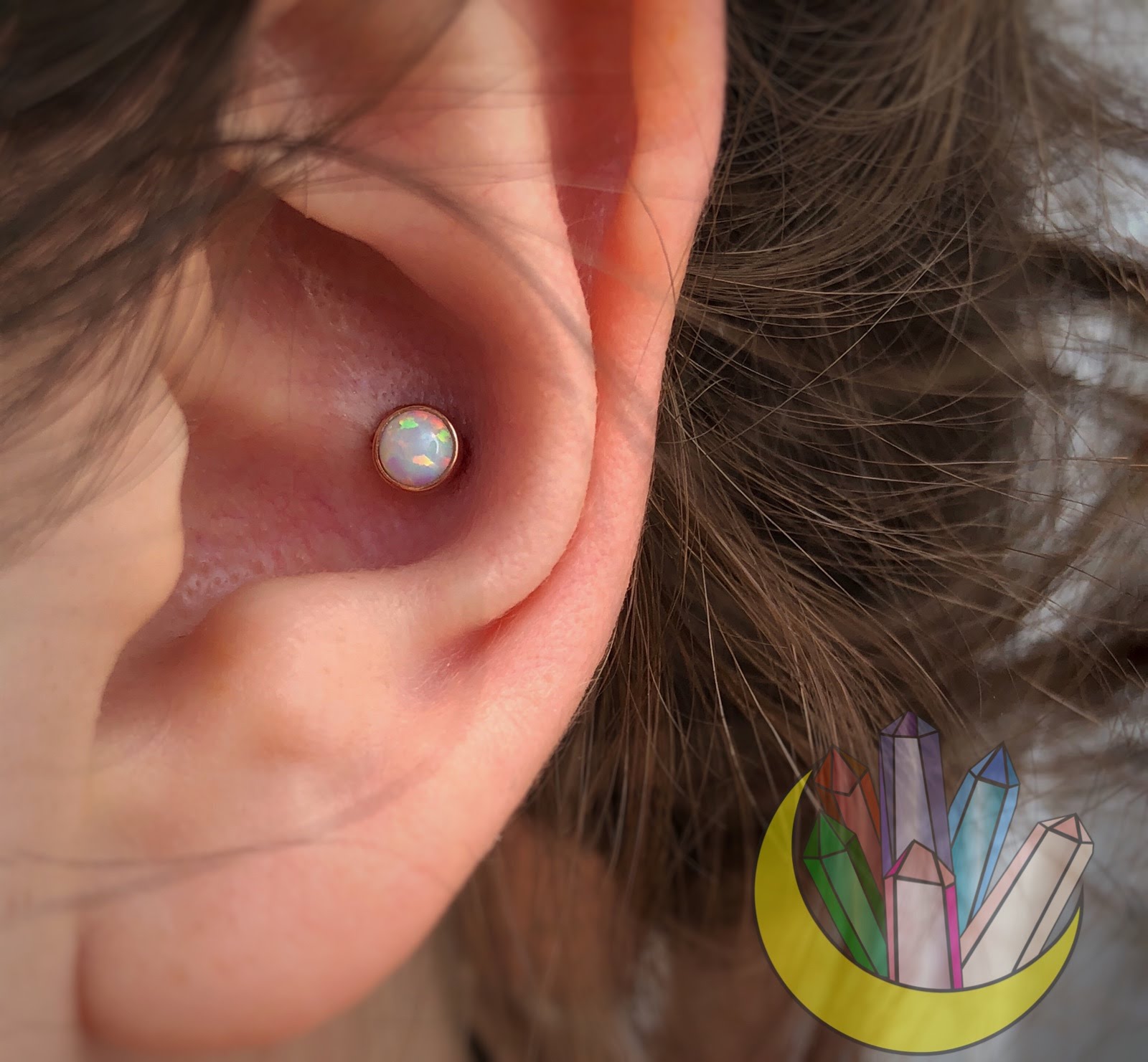 Conch Piercing