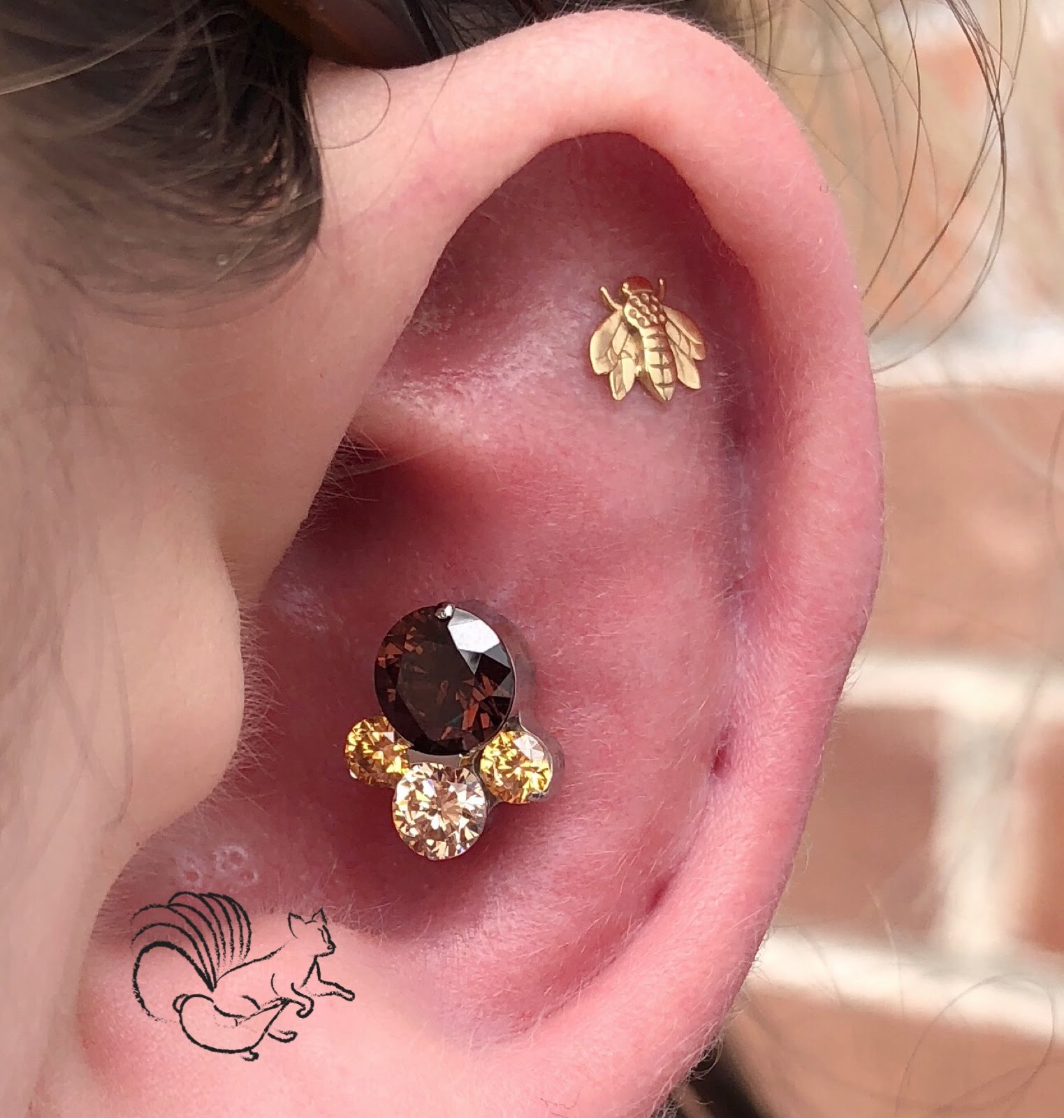 Conch Piercing