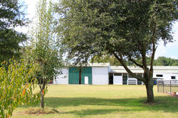 Half Moon Dressage Center_0239.jpg