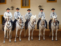 Francisco and other top trainers at Royal School.jpg