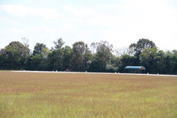 Half Moon Dressage Center_0293.jpg