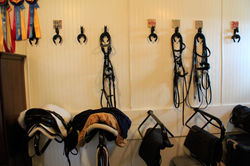 Half Moon Dressage Center_0262.jpg