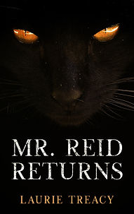 Mr Reid Returns.jpg