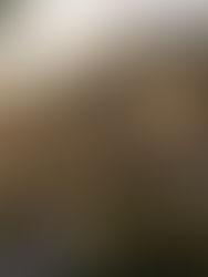 The Serendipitous Rise of Prefab: Transforming Real Estate Landscapes