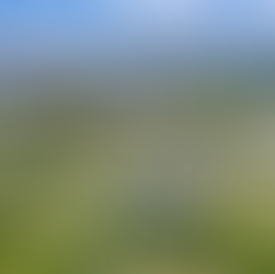 The Inspiration Behind the High Performance Builder