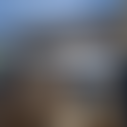 Custom Craftsman Construction Meets High-Performance Panels