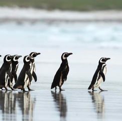 What Is Compassionate Leadership?