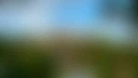 Stadtpark mit Blick auf Schloss Ballenstedt