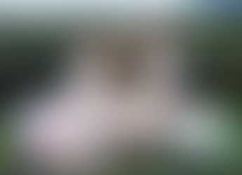 「あに丼 3杯目」