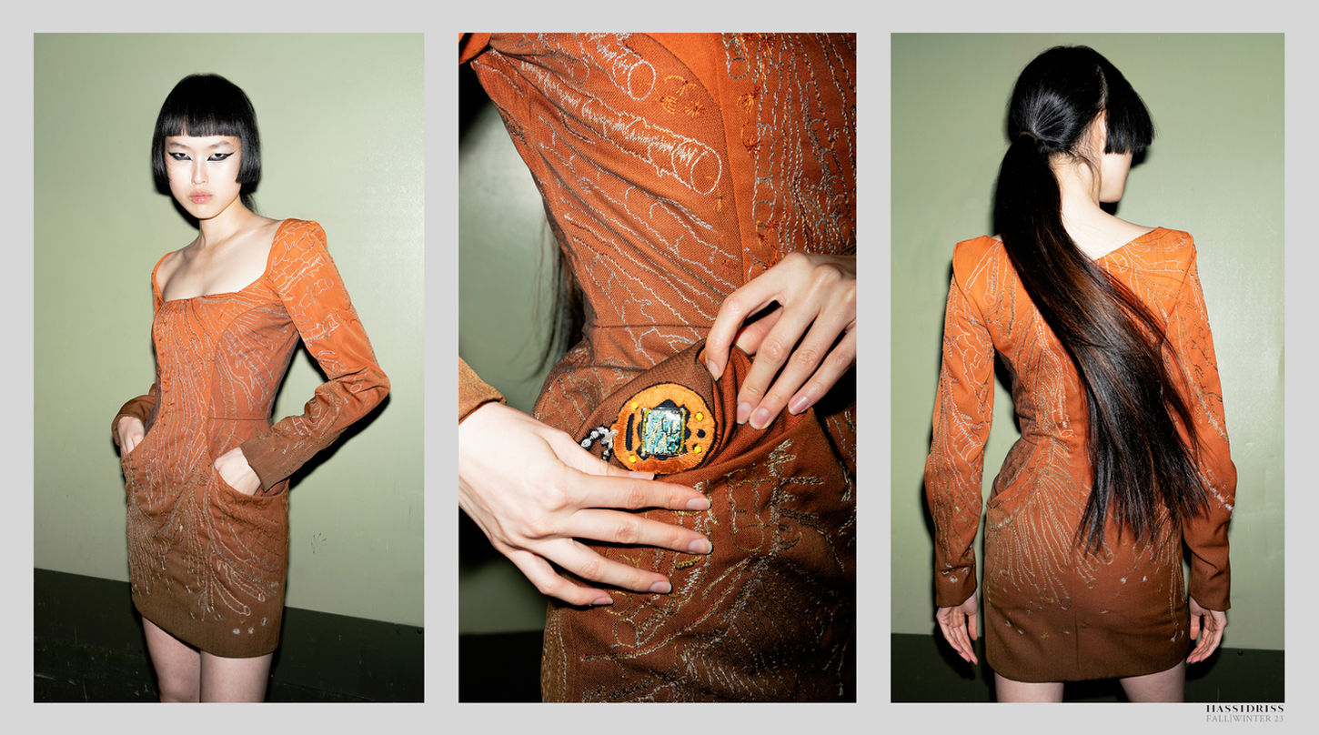 hassidriss orange threaded long sleeved mini dress