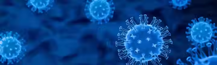 Flu Back.jpg