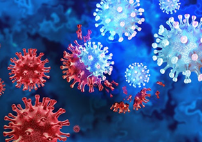 CANTIM DA COVID (PARTE 42)