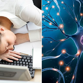 CANTIM CORPORE SANO 2025 (PARTE III)
