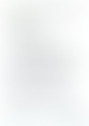 NOTICE TO PROCEED AMERICAN WIRE AND CABLE CO., INC.