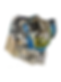 IMG_5320.PNG