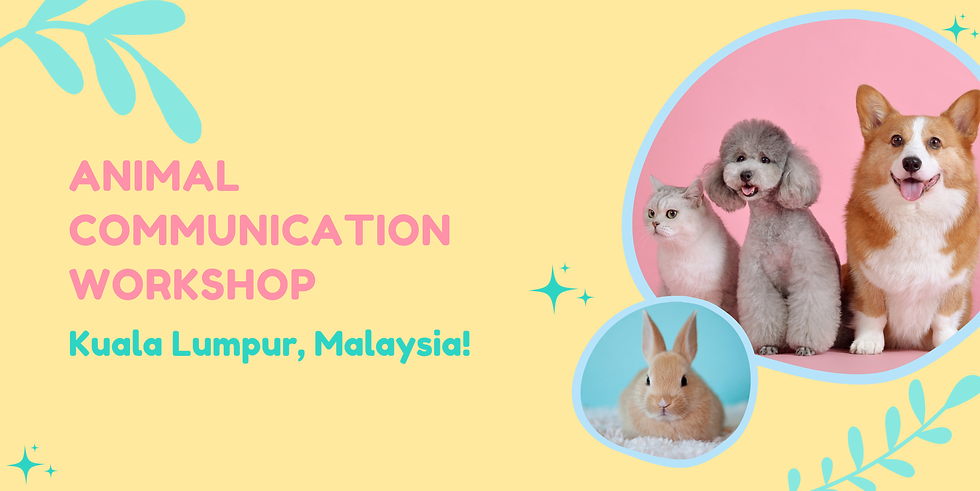 KL AC Banner No date.png