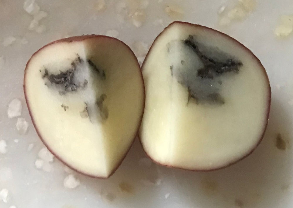 Black Pattern Inside A Raw Potato