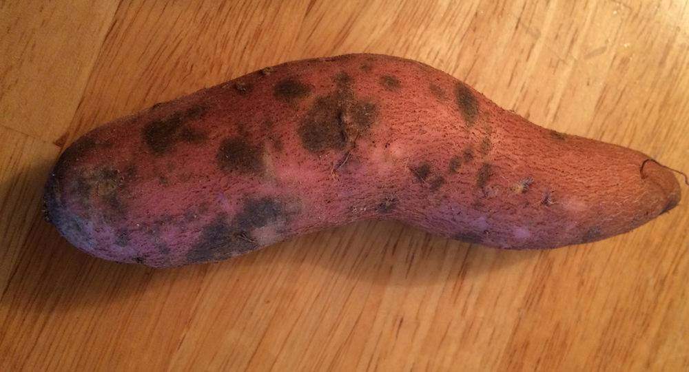 Sweet potatoes looking spotty?
