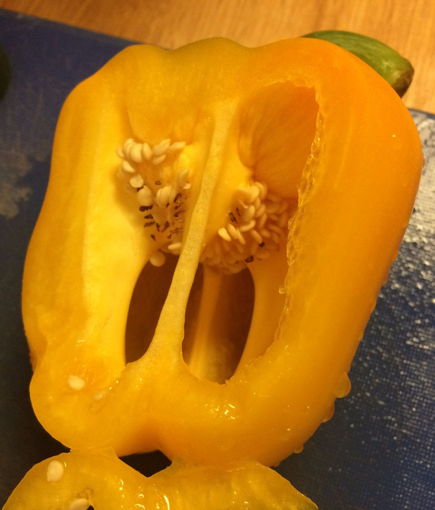 Sometimes perfectly good peppers can have bad seeds