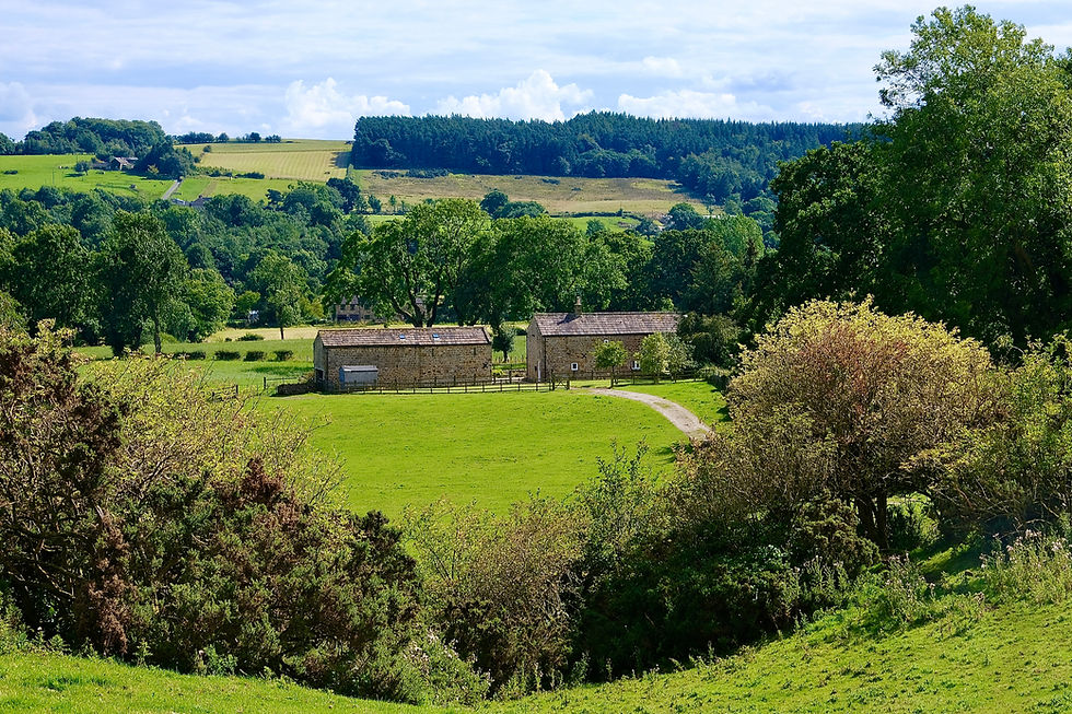 Holiday in beautiful house North Yorkshire moors