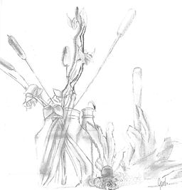 WW&AG - Still Life Beginnings (Dated August 10, 2020).jpg