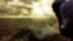 IMG_3323.jpeg
