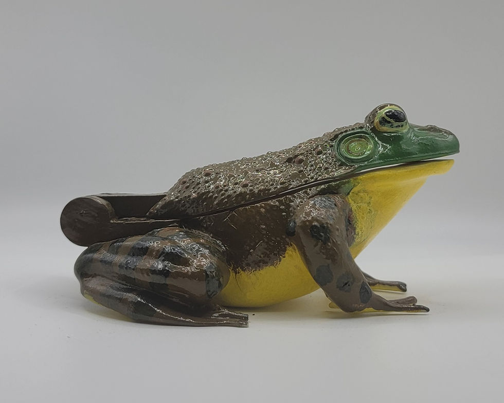 Thumbnail: American Bullfrog
