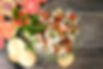 Shrimp Ceviche