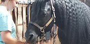 Hershey 5.jpg