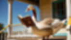 Even Porch Geese need to brush up on Economics 101.