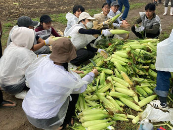 2025年8月17日 農業体験(収穫)